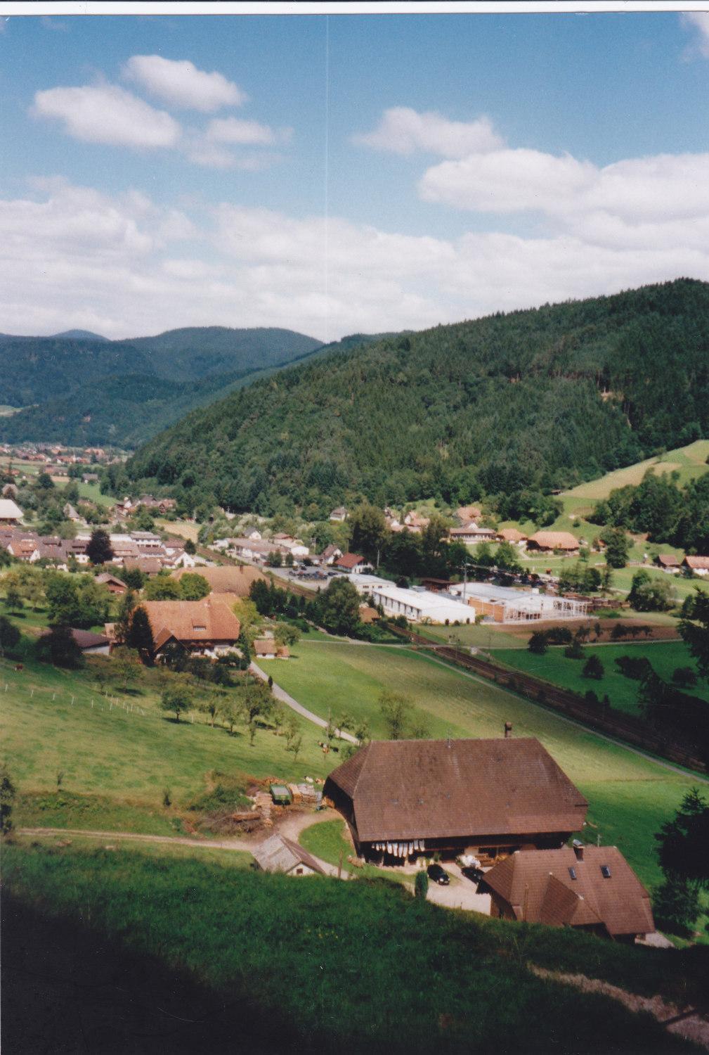 Waeldebauernhof Hotel Gutach Exterior foto